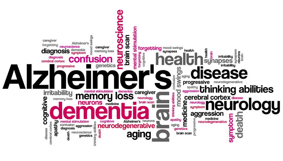What are the causes and symptoms of Alzheimer's disease?
