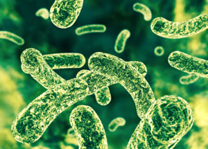 Microbes that Turmeric Attacks