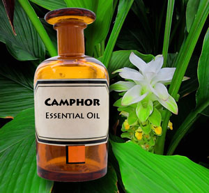 Camphor found in the essential oils of turmeric