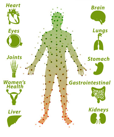 By including adjuvant substances, the efficacy is massively improved.