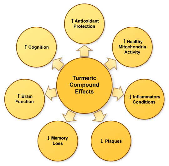 Overall Benefits of Turmeric Compounds in Alzheimer's Disease