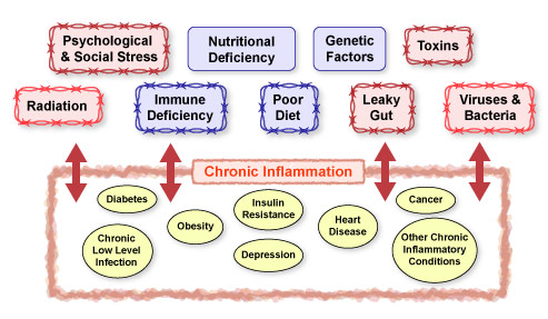 Figure IV.15: Factors that Contribute to Chronic Inflammatory Conditions