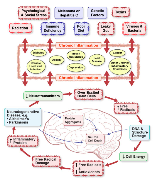 Chronic Inflammation in the Brain