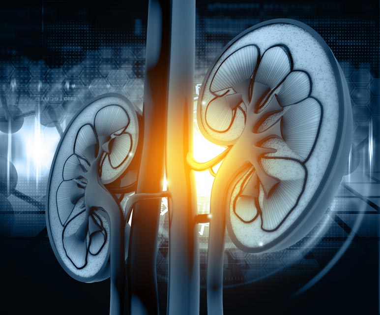 can candesartan cause kidney problems