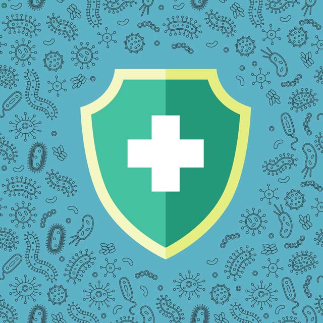 Turmeric Helps Boost and Regulate the Immune System How can turmeric and turmeric compounds help enhance the immune system and cell activity?