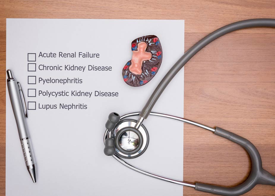 Lupus Nephritis Kidney Disease Turmeric supplements improved clinical measures of lupus nephritis.
