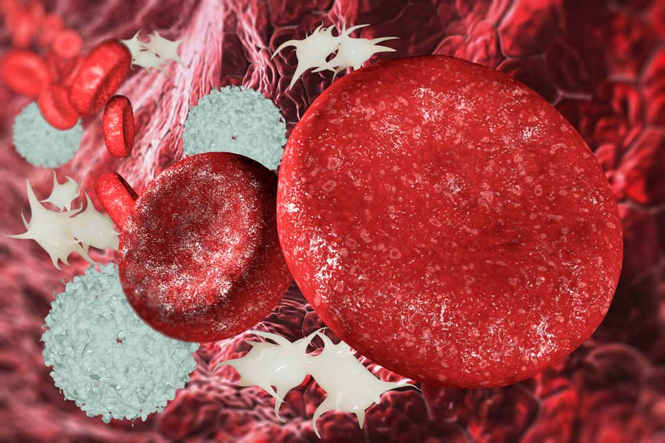 Cell Adhesion Molecules Help Platelets Stick Together Turmeric can help regulate cell adhesion molecules (CAMs), which are essential to cell membranes and connective tissue.