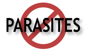 helps prevent leisions and disrupts parasites DNA helps prevent leisions and disrupts parasites DNA