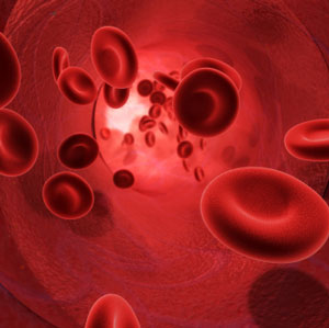 Bloodstream Bloodstream