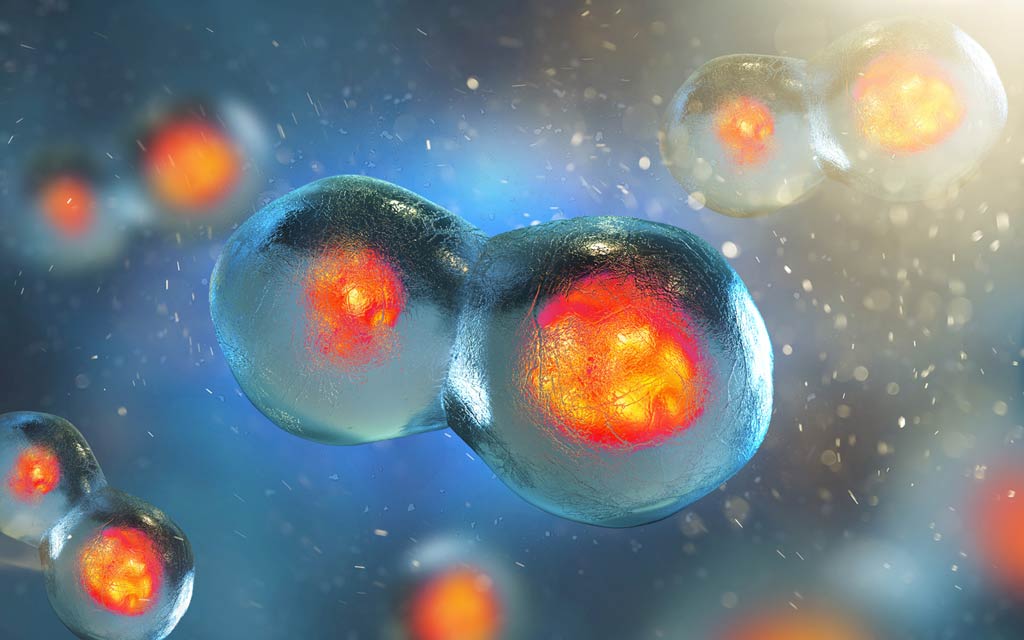 Turmeric compounds (such as curcumin) help regulate cyclins and cell growth. Cyclins are necessary for cell growth and division.