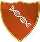 Protects against DNA damage Protects against DNA damage