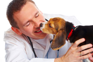 Pet Health Pet Health