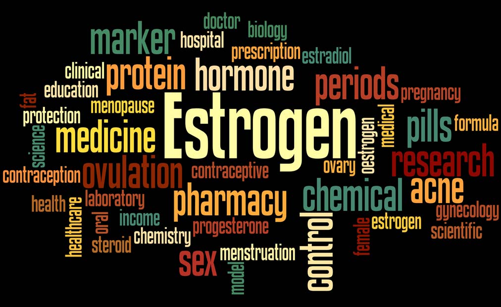 What types of estrogen are there and why is estrogen important?