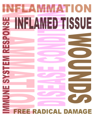 Pro-inflammatory cytokines are crucial to the immune system response Pro-inflammatory cytokines are crucial to the immune system response