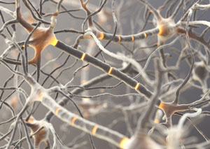 Neurons firing