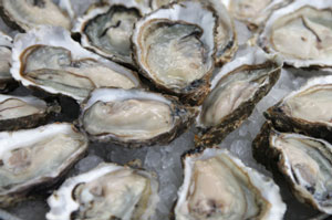 Raw Oysters