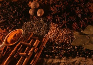 turmeric, cinnamon sticks, herbs and spices