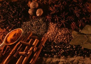Turmeric, Cinnamon Sticks, Herbs and Spices turmeric, cinnamon sticks, herbs and spices