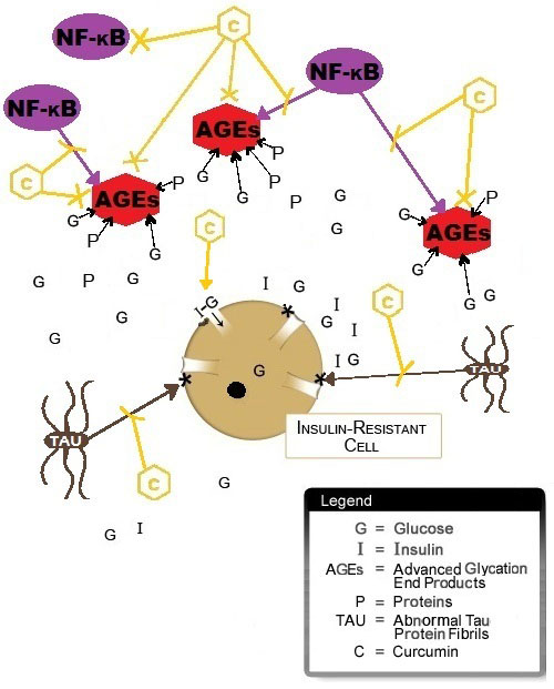 Figure IV.11: Curcumin Helps Protect Brain Cells from Insulin Resistance