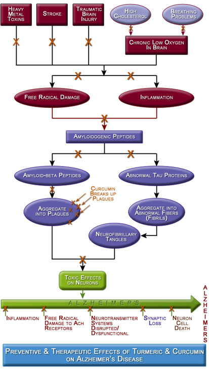 Figure IV.12: Effects of Turmeric and Curcumin on Alzheimer's Disease