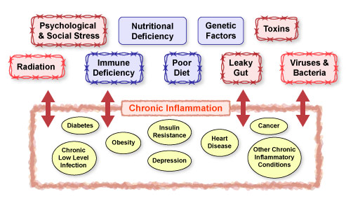 Figure IV.15: Factors that Contribute to Chronic Inflammatory Conditions Figure IV.15: Factors that Contribute to Chronic Inflammatory Conditions