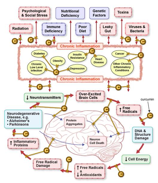 Figure IV.18: Effect of Curcumin on Parkinson's Disease