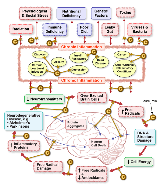 Figure IV.18: Effect of Curcumin on Parkinson's Disease Figure IV.18: Effect of Curcumin on Parkinson's Disease
