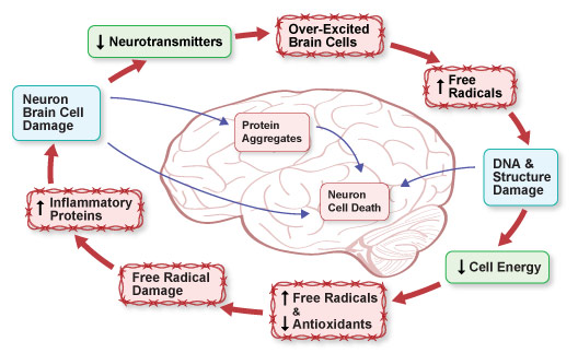 Figure IV.20: Inflammatory Conditions in Hepatic Encephalopathy