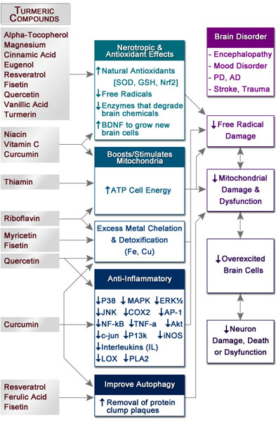 Figure IV.2: Effects of Turmeric Compounds in the Brain Effects of Turmeric Compounds in the Brain