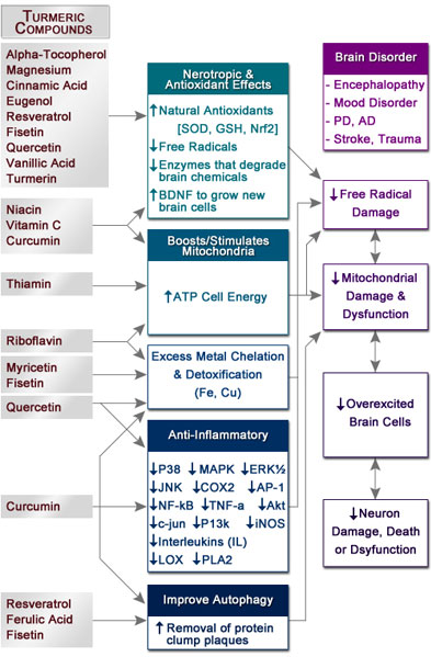Effects of Turmeric Compounds in the Brain
