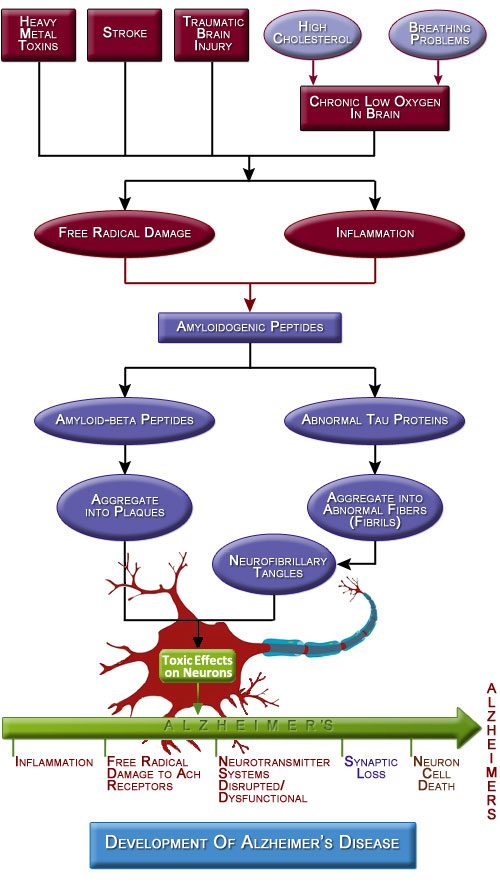 Free Radical Toxic Proteins