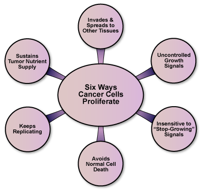 Figure VI.1: Six Ways Cancer Cells Are Different Than Normal Cells