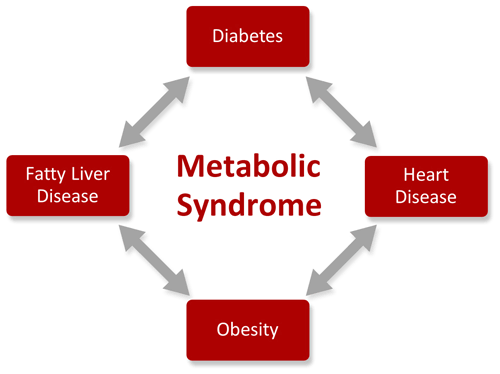 Figure VII.1: The Inflammatory Metabolic Syndrome Cycle