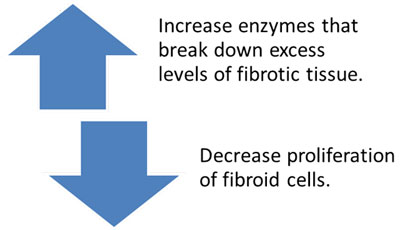Figure X.1: Therapy Targets for Anti-Fibroid Medication